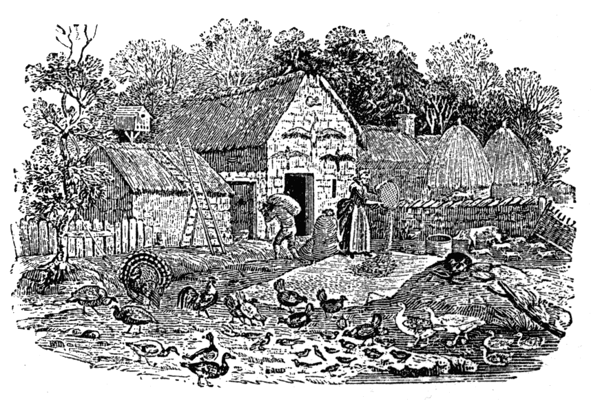 A Farmyard A Farmyard