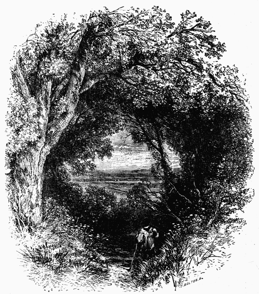 O'erarched with Oaks O'erarched with Oaks
