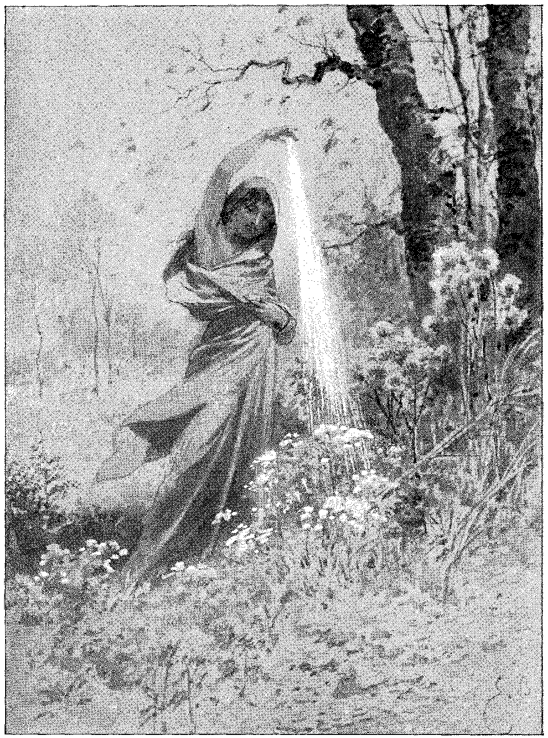 Vignette 10