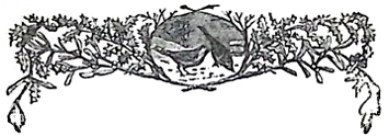image003