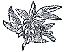 image012