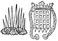 Fig. 681.