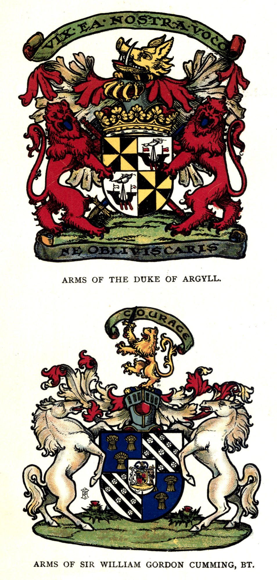 Plate III.