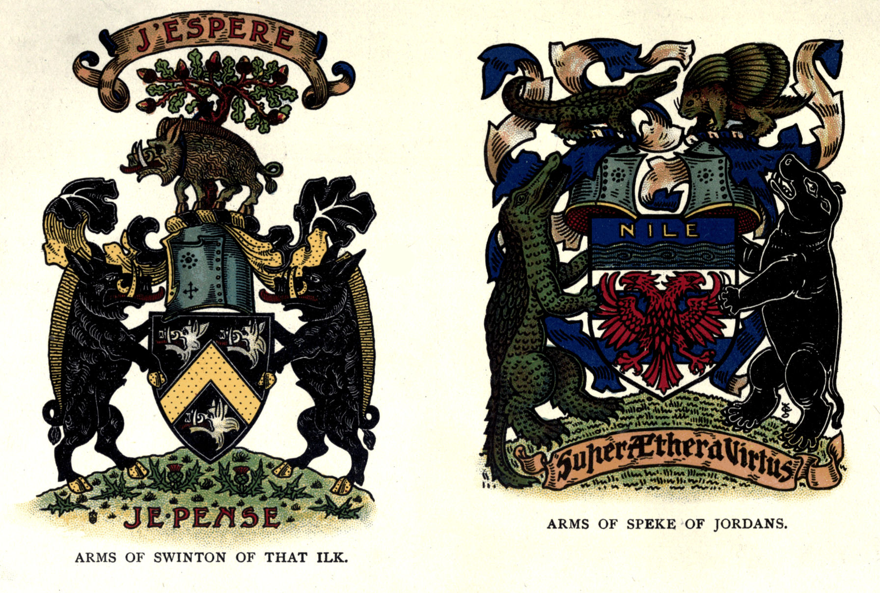 Plate IV.