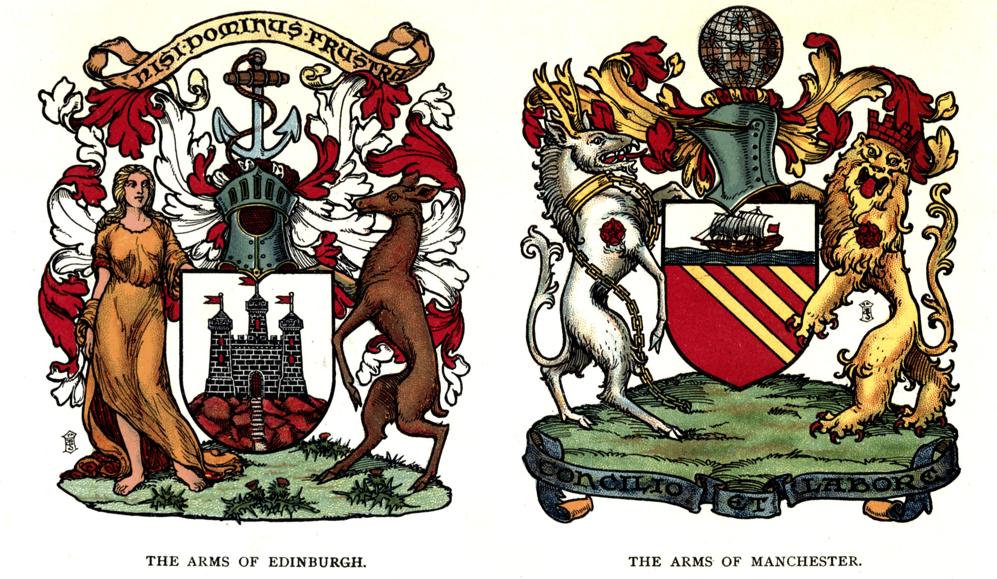 Plate V.