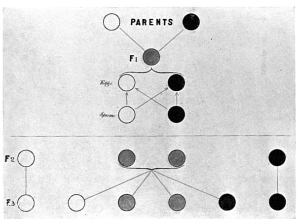 Fig. 14.