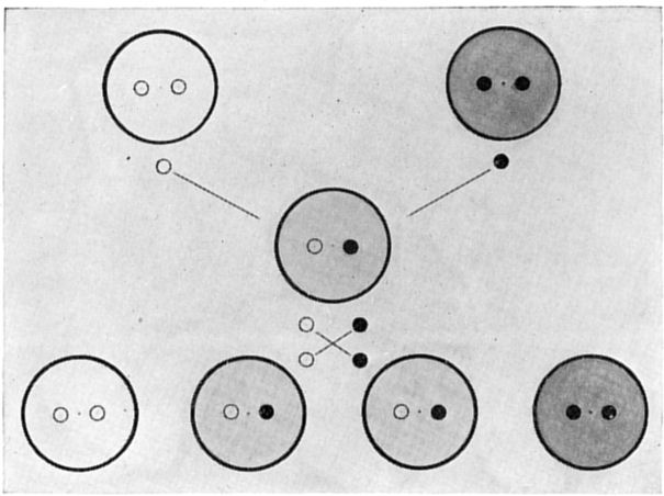 Fig. 16.
