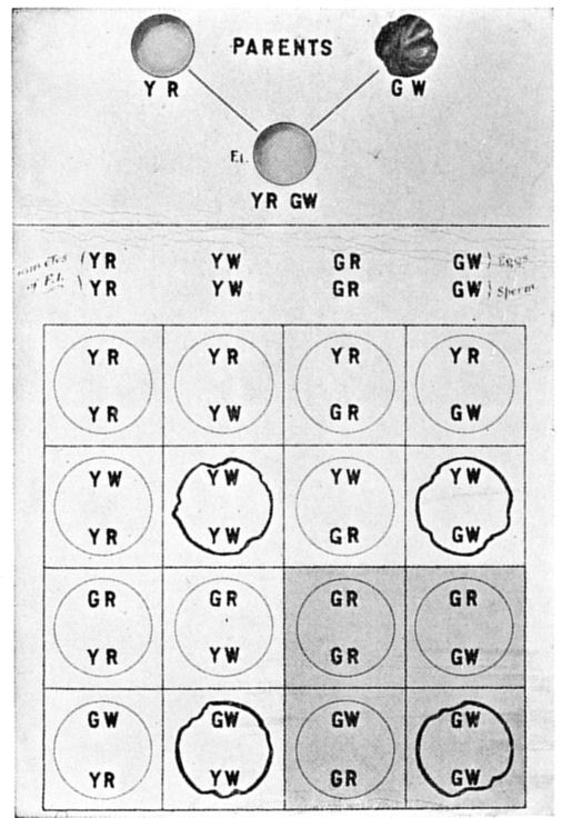 Fig. 22.