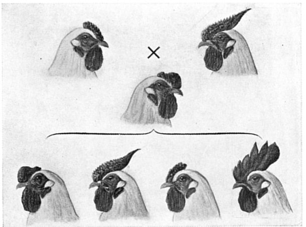 Fig. 23.