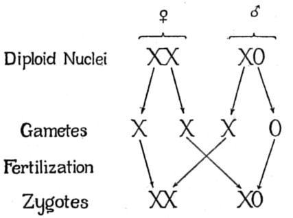 Fig. 60.