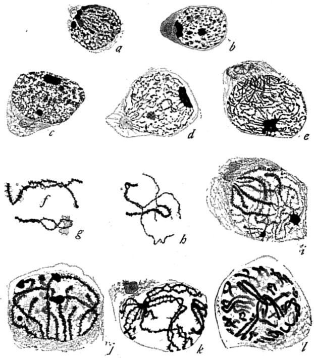Fig. 63.