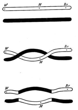 Fig. 65.