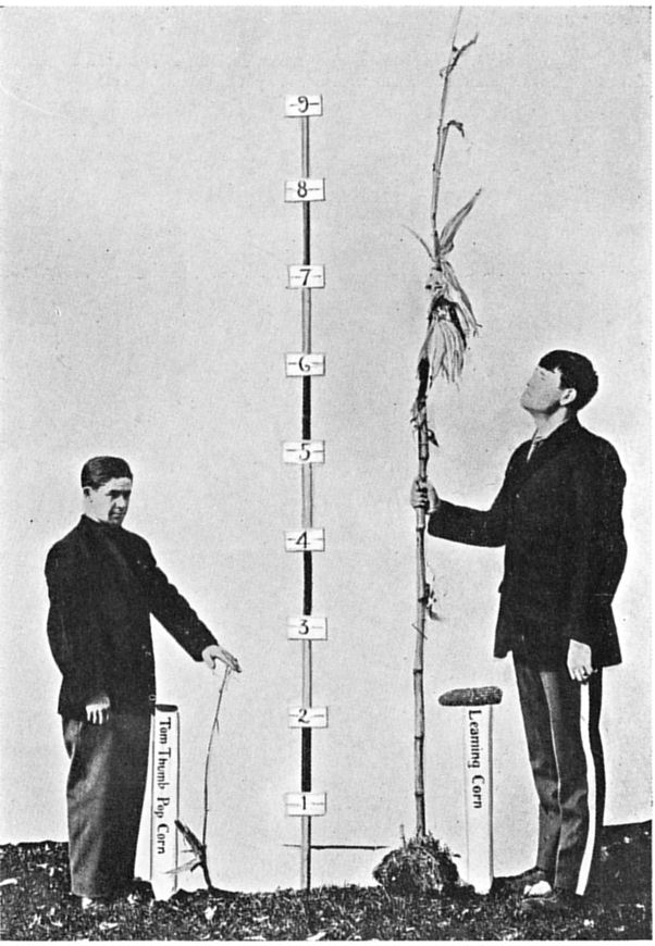 Fig. 76.