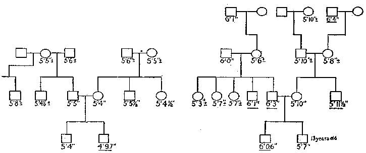 Fig. 77.