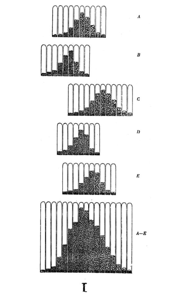 Fig. 81.