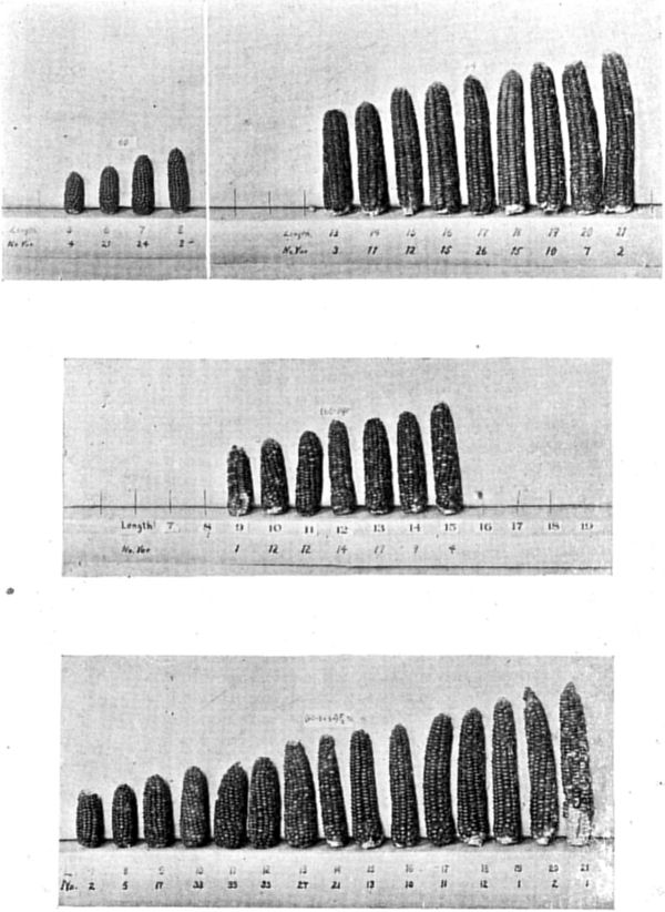 Fig. 85.