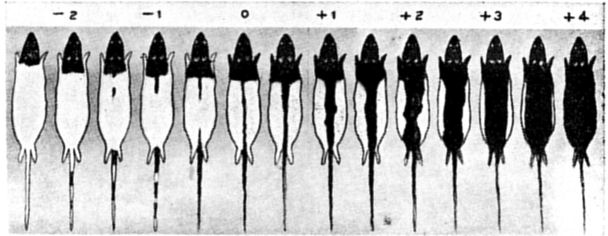 Fig. 88.