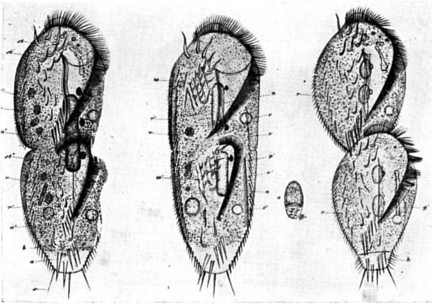 Fig. 90.