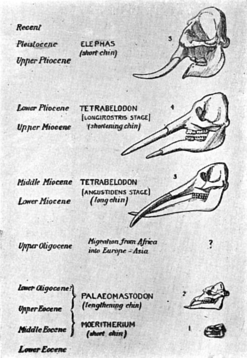 Fig. 93.