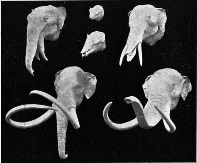 Fig. 94.