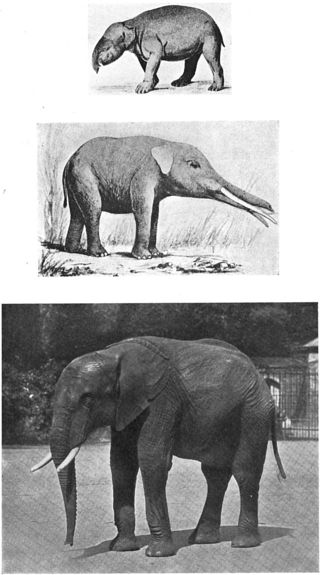 Fig. 95.