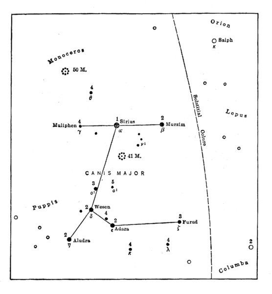 CANIS MAJOR CANIS MAJOR