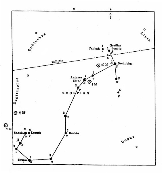 SCORPIUS SCORPIUS
