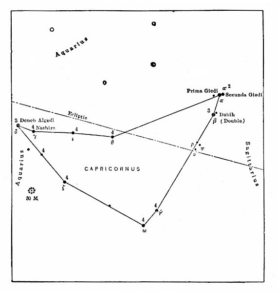 CAPRICORNUS CAPRICORNUS