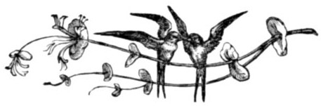 SWALLOWS