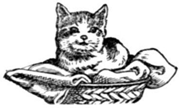 CAT IN A BASKET
