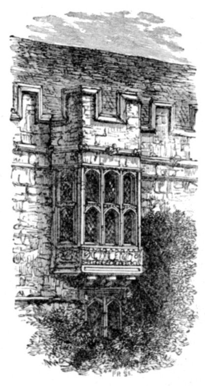BAY WINDOW