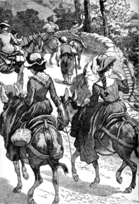 THE DONKEY EXPEDITION