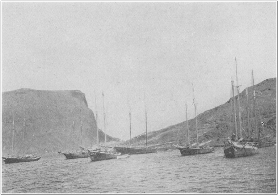 The Labrador Coast: The Tickle Anchorage