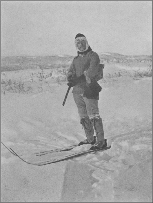 The Labrador Doctor in Winter