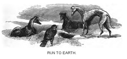 Run to earth
