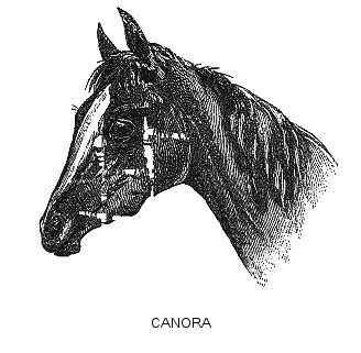 Canora