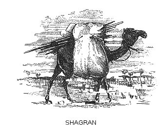 Shagran