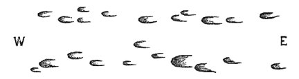 Horse-hoof shaped hollows