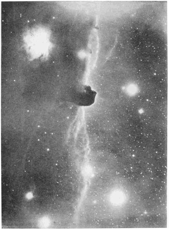 A  DARK NEBULA
