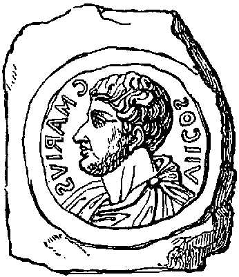 Caius Marius. Caius Marius.