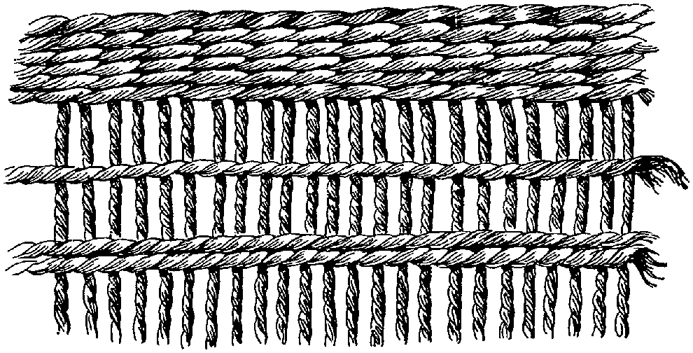 Fig. 308. Incipient stage of reticulated ornament