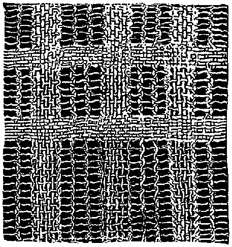 Fig. 309. Simple form of ornamental reticulation