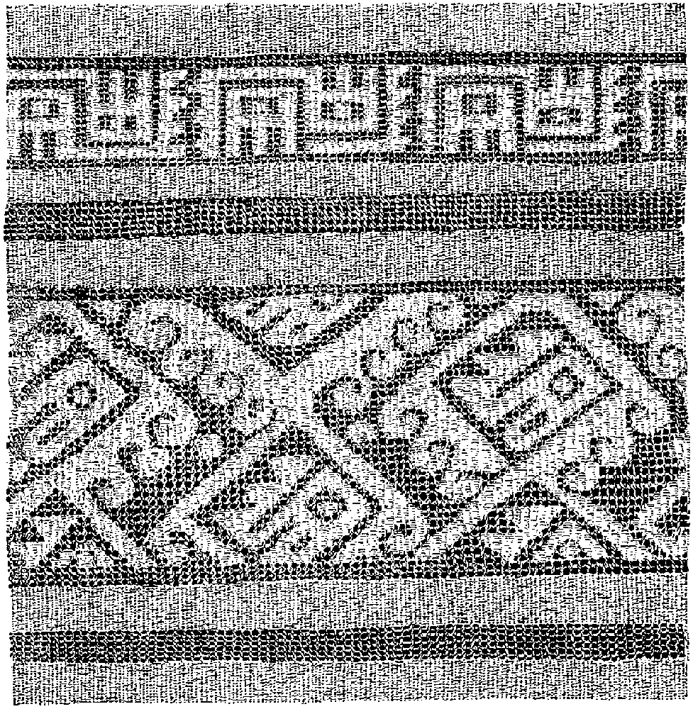 Fig. 311. Open work design embroidered upon a net-like fabric