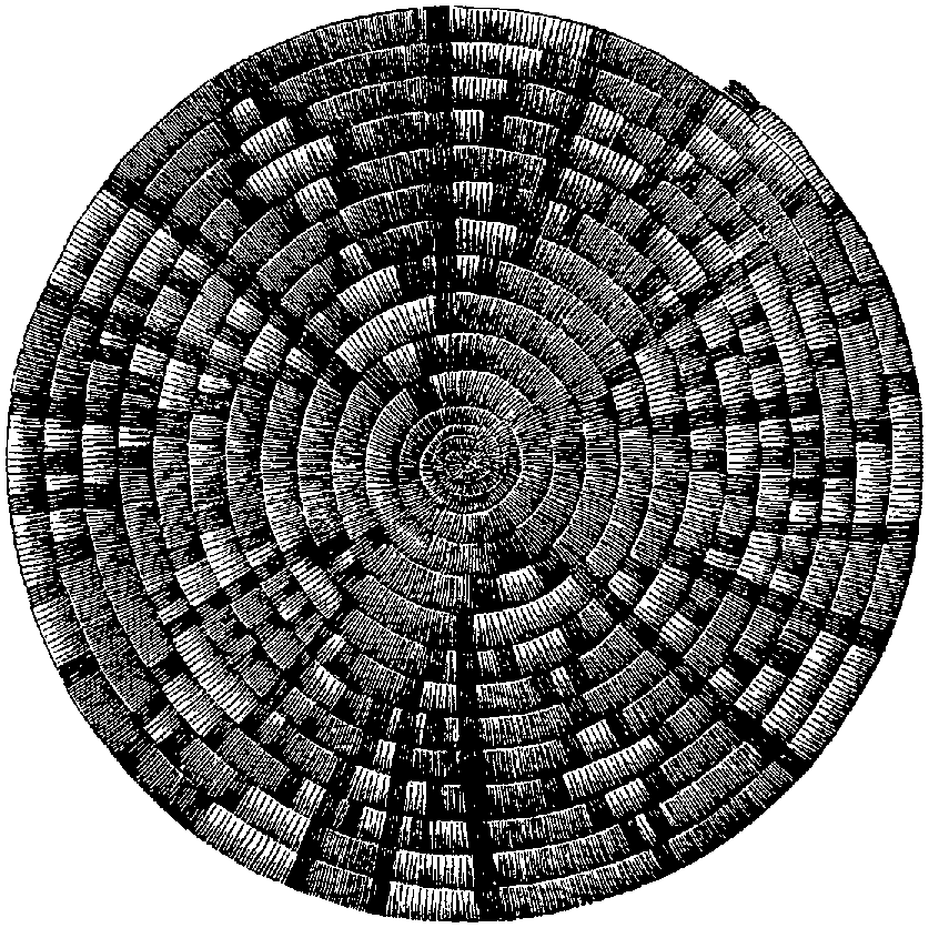 Fig. 326. Coiled tray with geometric devices probably modified by ideographic association