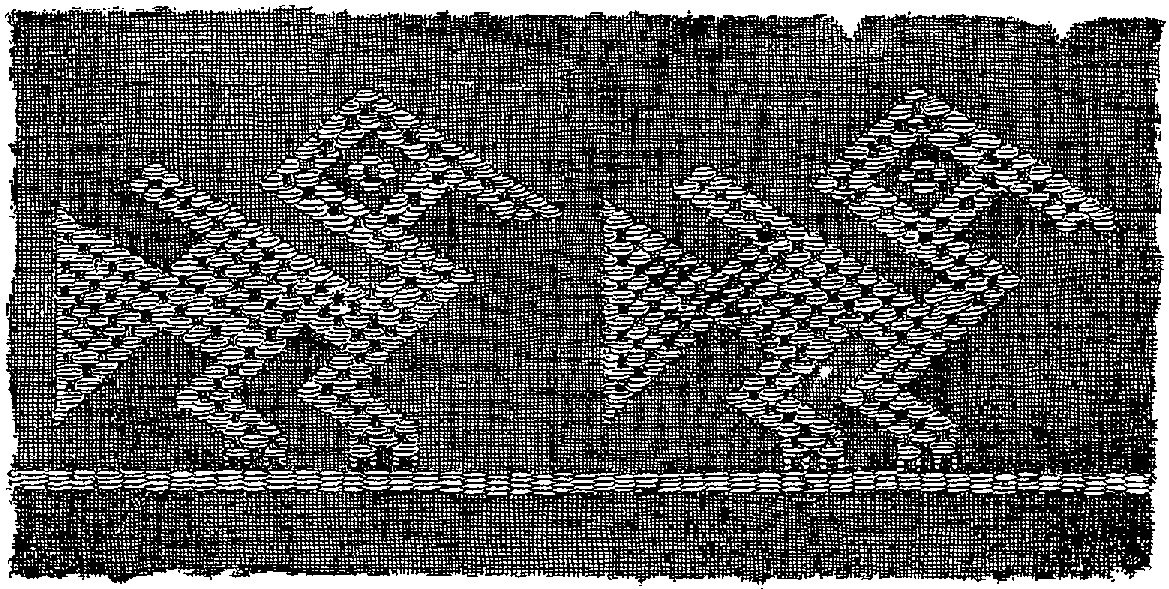 Fig. 349. Embroidery in which the foundation fabric is not followed accurately