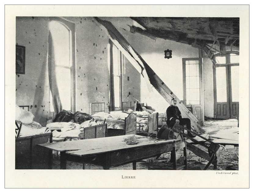 Lierre