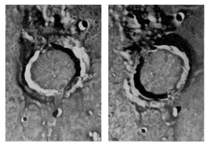 Fig. 64.—Archimedes in the lunar morning and afternoon.—Weinek.