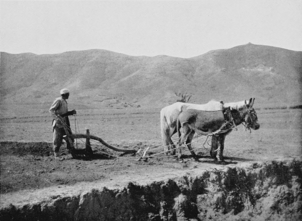 scene