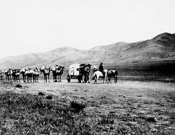 caravan