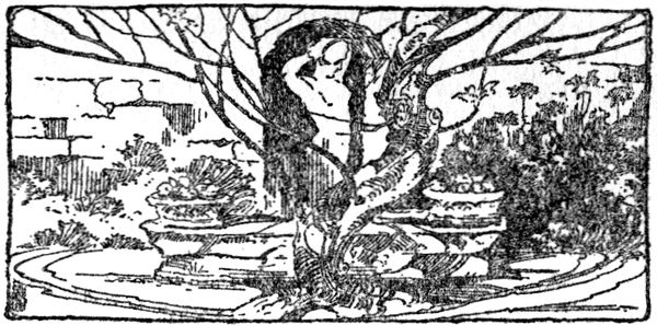 a formal garden a formal garden